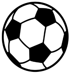 Sports Teams & Leagues